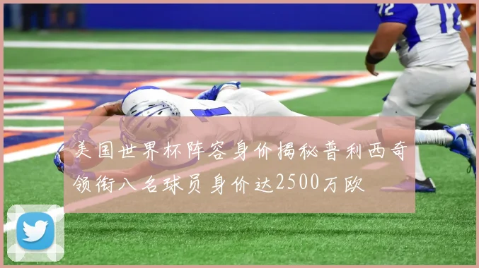 美国世界杯阵容身价揭秘普利西奇领衔八名球员身价达2500万欧