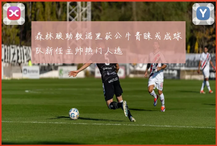 森林狼助教诺里获公牛青睐或成球队新任主帅热门人选